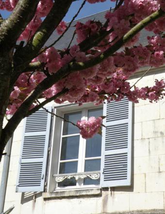 לוצ'ס La Closerie Saint Jacques מראה חיצוני תמונה